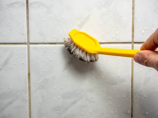Best Health and Safety Mold Remediation in Oxnard, CA
