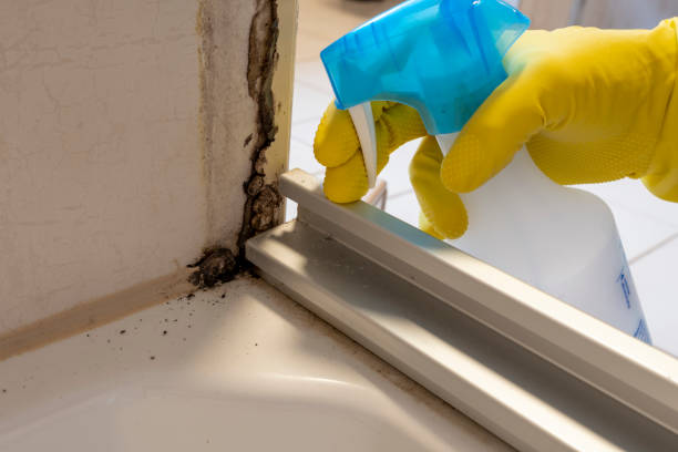 Best Mold Remediation for Specific Building Types in Oxnard, CA